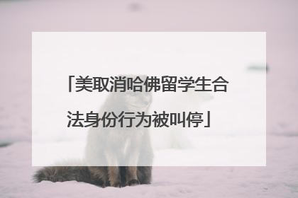 美取消哈佛留学生合法身份行为被叫停