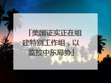 美国证实正在组建特别工作组，以监控中东局势
