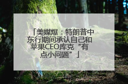 美媒爆：特朗普中东行期间承认自己和苹果CEO库克“有点小问题”