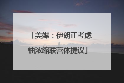 美媒：伊朗正考虑铀浓缩联营体提议