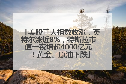 美股三大指数收涨，英特尔涨近8%，特斯拉市值一夜增超4000亿元！黄金、原油下跌