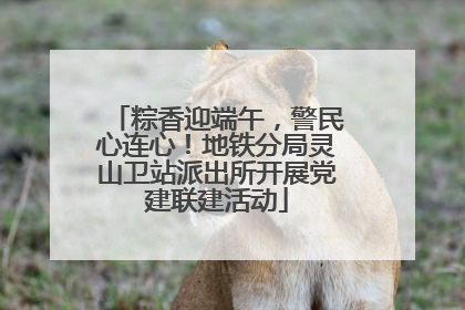 粽香迎端午，警民心连心！地铁分局灵山卫站派出所开展党建联建活动