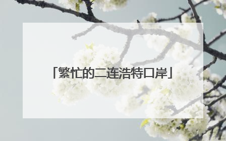 繁忙的二连浩特口岸