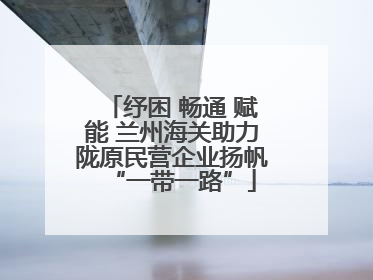 纾困 畅通 赋能 兰州海关助力陇原民营企业扬帆“一带一路”