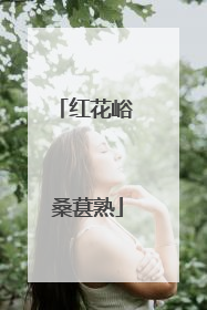 红花峪 桑葚熟