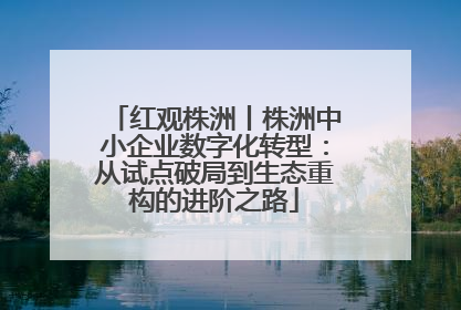 红观株洲丨株洲中小企业数字化转型：从试点破局到生态重构的进阶之路