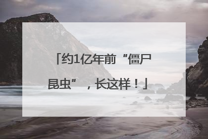 约1亿年前“僵尸昆虫”，长这样！