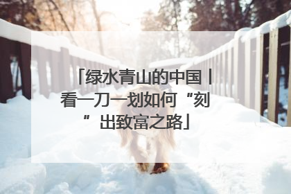 绿水青山的中国丨看一刀一划如何“刻”出致富之路