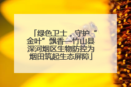 绿色卫士，守护“金叶”飘香—竹山县深河烟区生物防控为烟田筑起生态屏障