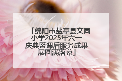 绵阳市盐亭县文同小学2025年六一庆典暨课后服务成果展圆满落幕