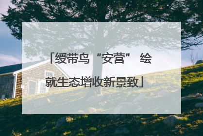 绶带鸟“安营” 绘就生态增收新景致
