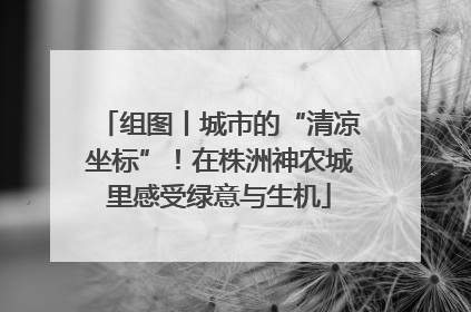 组图丨城市的“清凉坐标”！在株洲神农城里感受绿意与生机