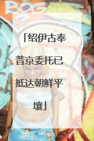 绍伊古奉普京委托已抵达朝鲜平壤