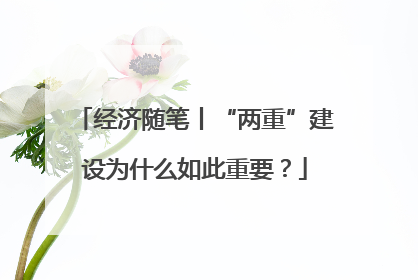 经济随笔丨“两重”建设为什么如此重要？
