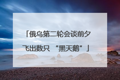 俄乌第二轮会谈前夕 飞出数只 “黑天鹅”