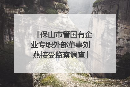 保山市管国有企业专职外部董事刘燕接受监察调查