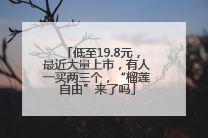 低至19.8元，最近大量上市，有人一买两三个，“榴莲自由”来了吗