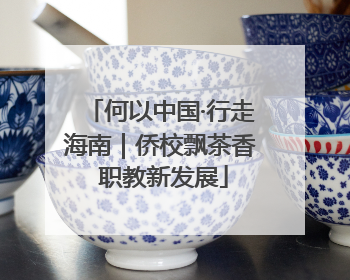 何以中国·行走海南｜侨校飘茶香 职教新发展