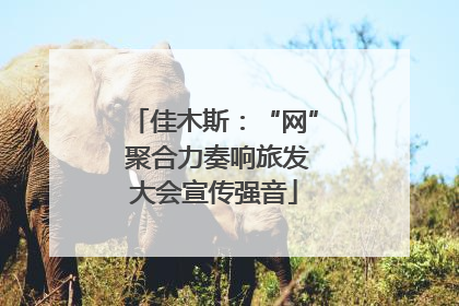 佳木斯：“网” 聚合力奏响旅发大会宣传强音