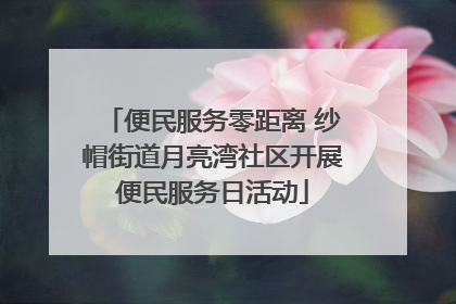 便民服务零距离 纱帽街道月亮湾社区开展便民服务日活动