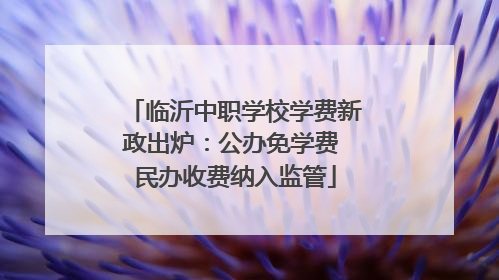 临沂中职学校学费新政出炉：公办免学费 民办收费纳入监管