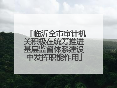 临沂全市审计机关积极在统筹推进基层监督体系建设中发挥职能作用