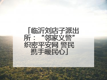 临沂刘店子派出所：“邻家义警”织密平安网 警民携手暖民心