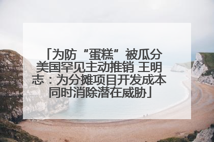 为防“蛋糕”被瓜分 美国罕见主动推销 王明志：为分摊项目开发成本同时消除潜在威胁