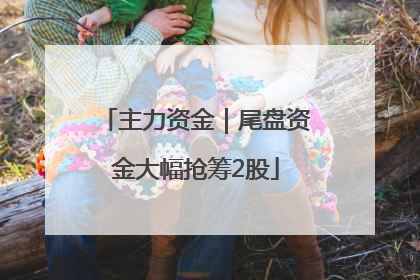 主力资金｜尾盘资金大幅抢筹2股