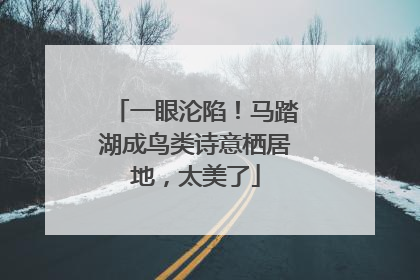 一眼沦陷！马踏湖成鸟类诗意栖居地，太美了