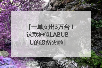 一单卖出3万台！这款神似LABUBU的设备火啦