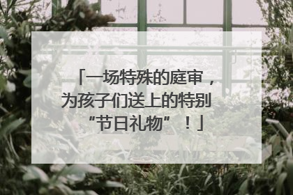 一场特殊的庭审，为孩子们送上的特别“节日礼物”！