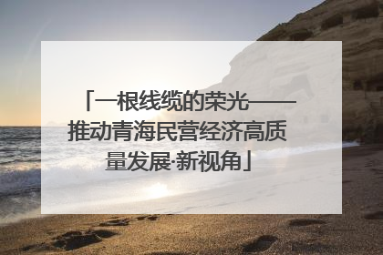 一根线缆的荣光——推动青海民营经济高质量发展·新视角