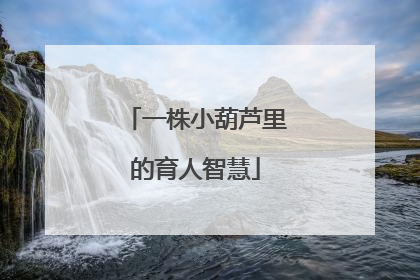 一株小葫芦里的育人智慧