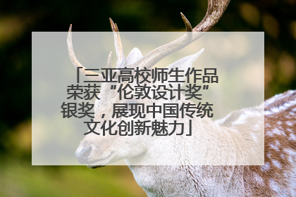 三亚高校师生作品荣获“伦敦设计奖”银奖，展现中国传统文化创新魅力