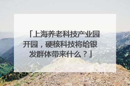 上海养老科技产业园开园，硬核科技将给银发群体带来什么？