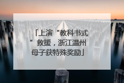 上演“教科书式”救援，浙江温州母子获特殊奖励