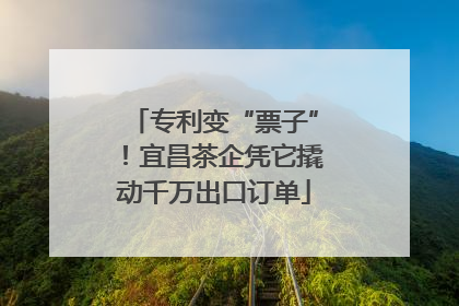 专利变“票子”！宜昌茶企凭它撬动千万出口订单