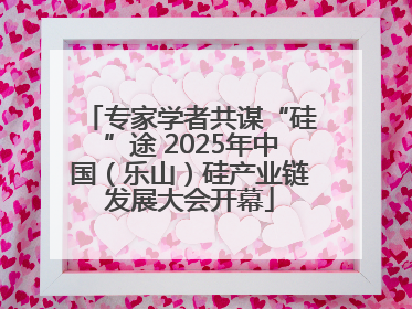 专家学者共谋“硅”途 2025年中国（乐山）硅产业链发展大会开幕
