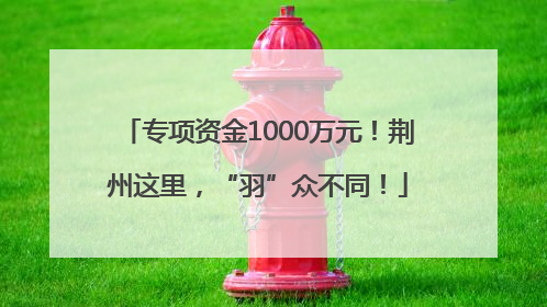 专项资金1000万元！荆州这里，“羽”众不同！