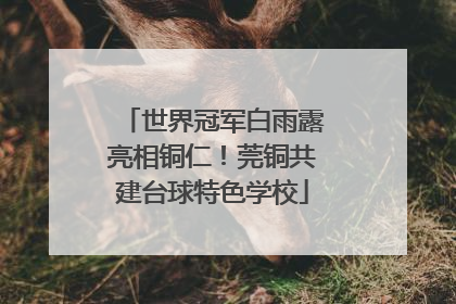 世界冠军白雨露亮相铜仁！莞铜共建台球特色学校