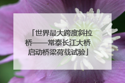 世界最大跨度斜拉桥——常泰长江大桥启动桥梁荷载试验