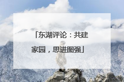 东湖评论：共建家园，思进图强