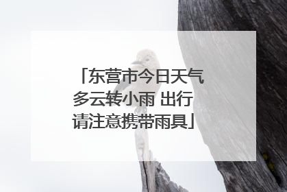 东营市今日天气多云转小雨 出行请注意携带雨具