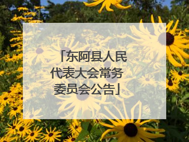 东阿县人民代表大会常务委员会公告