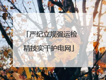 严纪立规强运检 精技实干护电网