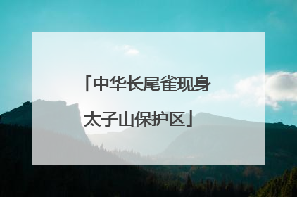 中华长尾雀现身太子山保护区