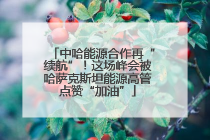 中哈能源合作再“续航”！这场峰会被哈萨克斯坦能源高管点赞“加油”
