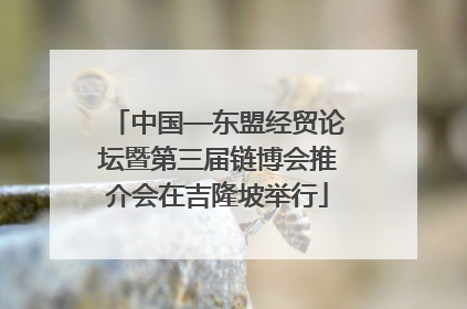 中国—东盟经贸论坛暨第三届链博会推介会在吉隆坡举行