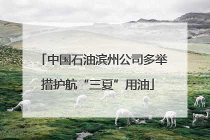 中国石油滨州公司多举措护航“三夏”用油